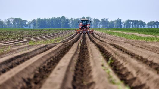 Image Transition Ecologique 