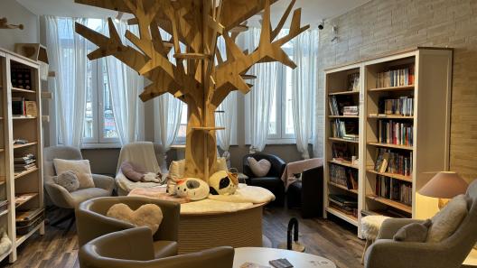 espace bibliothèque avec arbre à chats et fauteuils confortables
