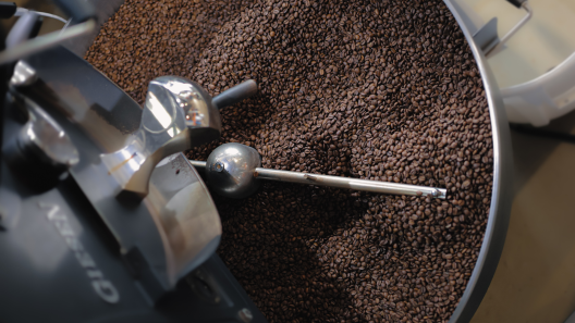 torrefacteur de café